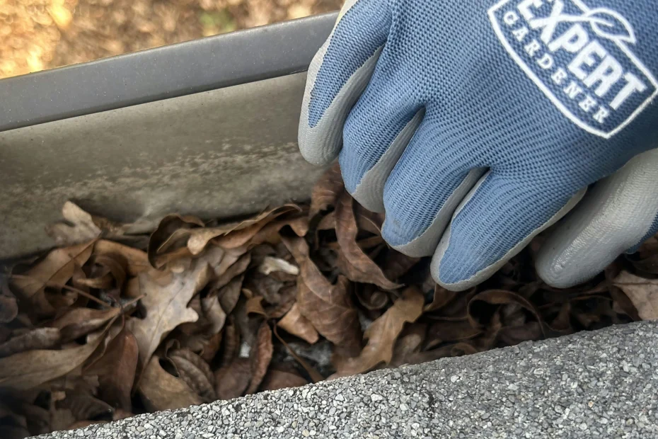 Gutter Cleaning Sunny Isles Beach FL