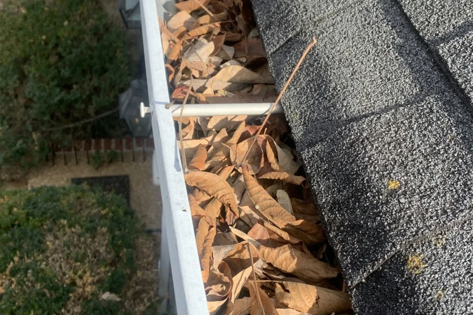 Gutter Cleaning Sunny Isles Beach FL